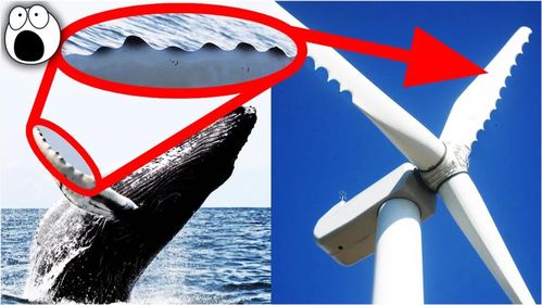 虫洞科技 从动物王国汲取灵感的四大智慧产品